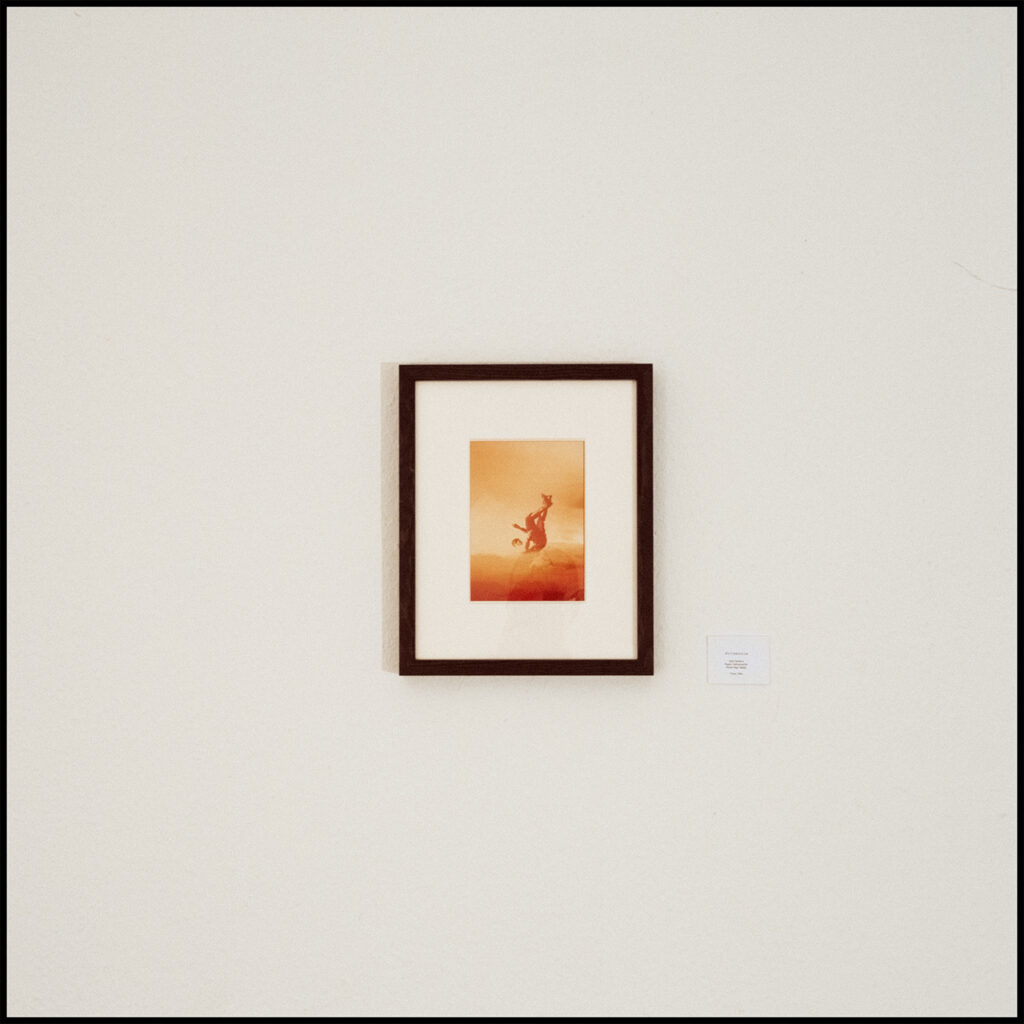 Normandia galeria